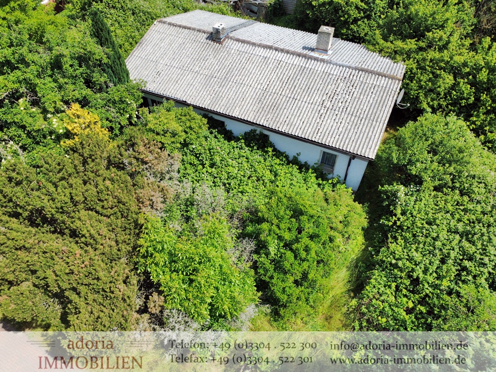 * Wecke mich aus dem Dornröschenschlaf * Großes Grundstück mit Abriss-Wohnhaus in Ortsrandlage *